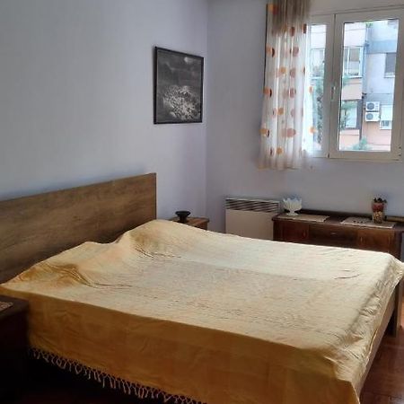 Apartment Z Podgorica Exteriér fotografie
